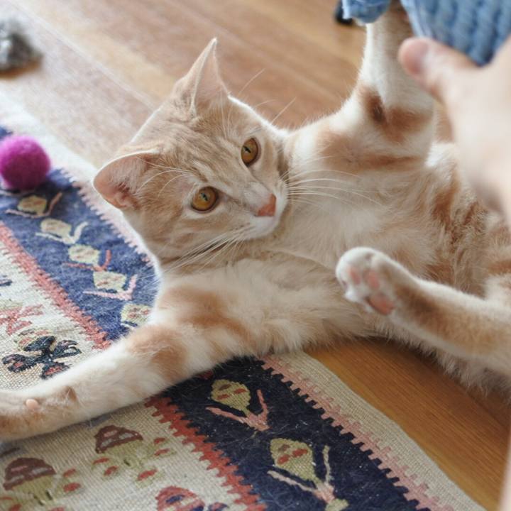 6849bedd 93f1 4ab9 972c d2f2787017b8 1563714005179