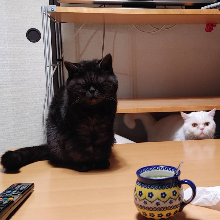 6849d3b5 75de 4dd8 81e2 ffda09484d04 1646310733883