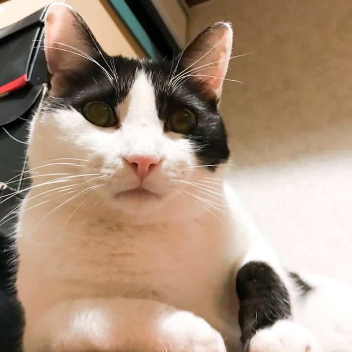 6849eda8 a01d 4249 99ea d63fae4d67ab 1523630330112