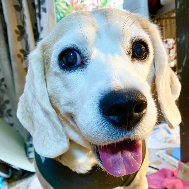 6849f3a6 c2d8 4f27 ac05 b22b41b7a744 1650944457736