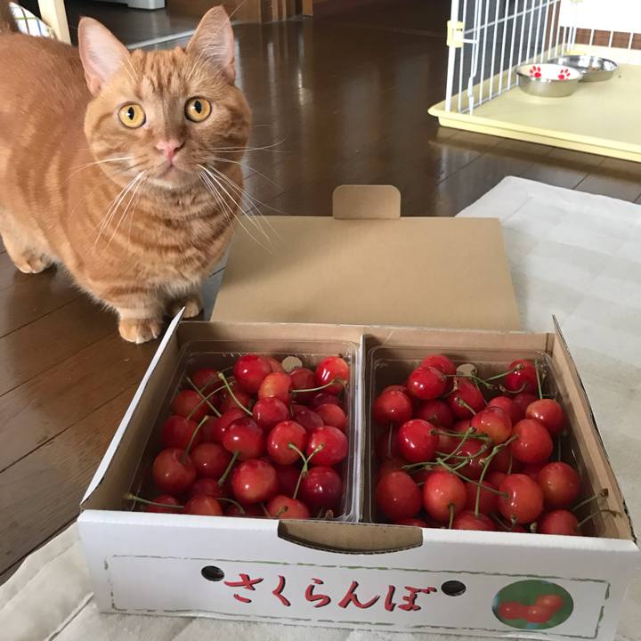 6849f944 3ee5 4a62 b124 fbc3be02b2a8 1561871056563