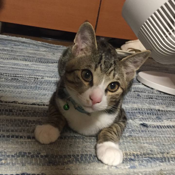 684a01c2 336a 4c38 9b96 74b283ae872a 1658797267292