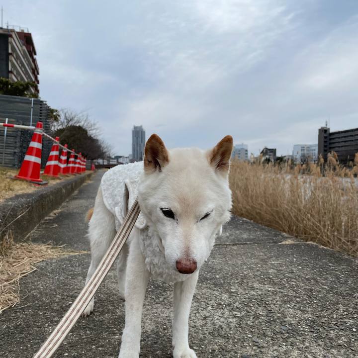 684a1e6a 5c1a 420e 8a3b 0de5e71340c5 1642392783958