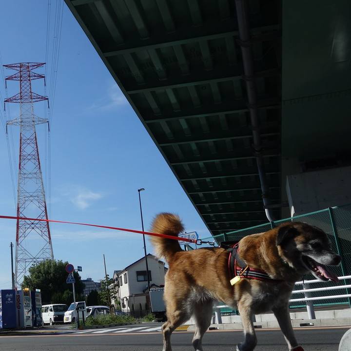 684a58de 115b 43e0 b178 dec3db1fdea3 1534208129211