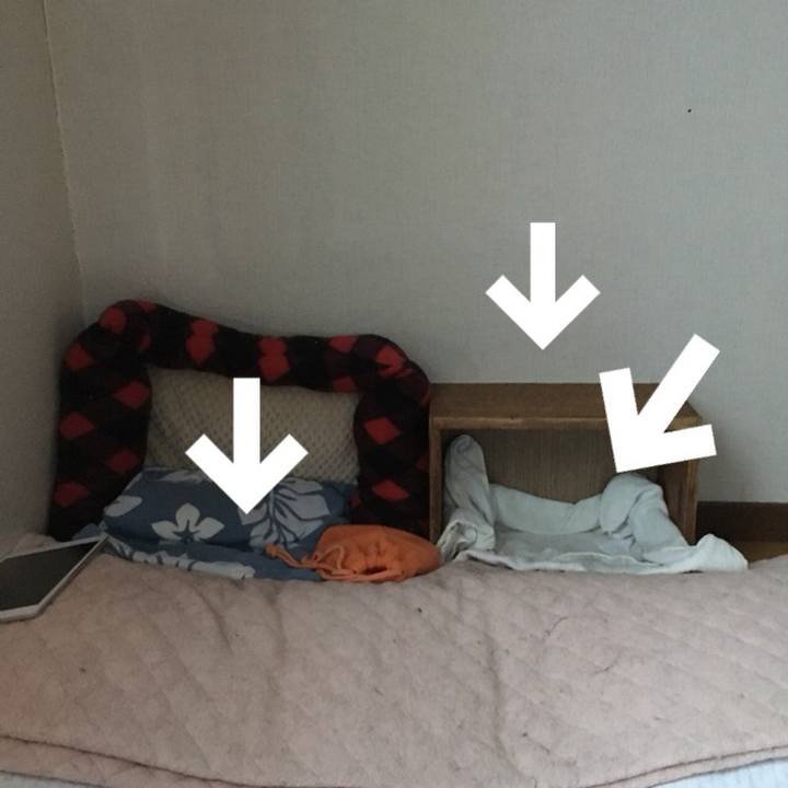 684a9085 0d3f 479f 95d5 76942fd78945 1551303108319