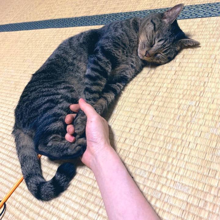 684aa7ed 5b5a 4db2 934b 9e2c1ed27e37 1568801097313