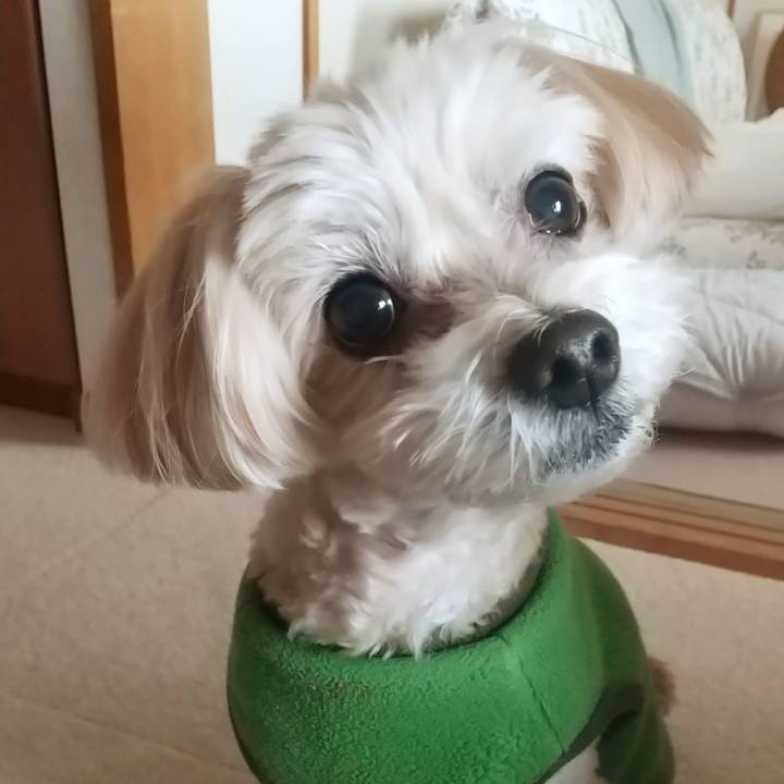 684ac231 3901 495c 8f16 34075bc01798 1579314905778