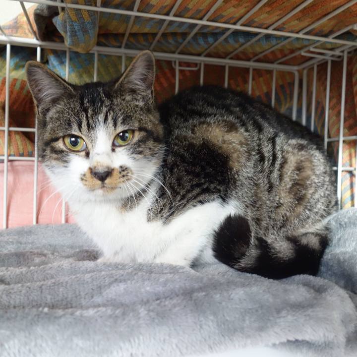 684b13c6 70b1 4c52 987a 264265eeb5ca 1757114971708