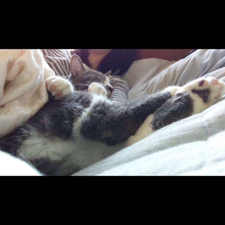 684b252e 9a2d 438a 967a 8858fc787bae 1619312708382