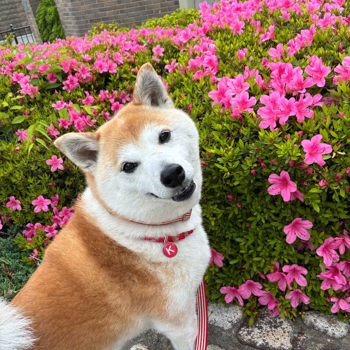 684b278a 1fea 4c76 96bf 49525a480037 1747175150176