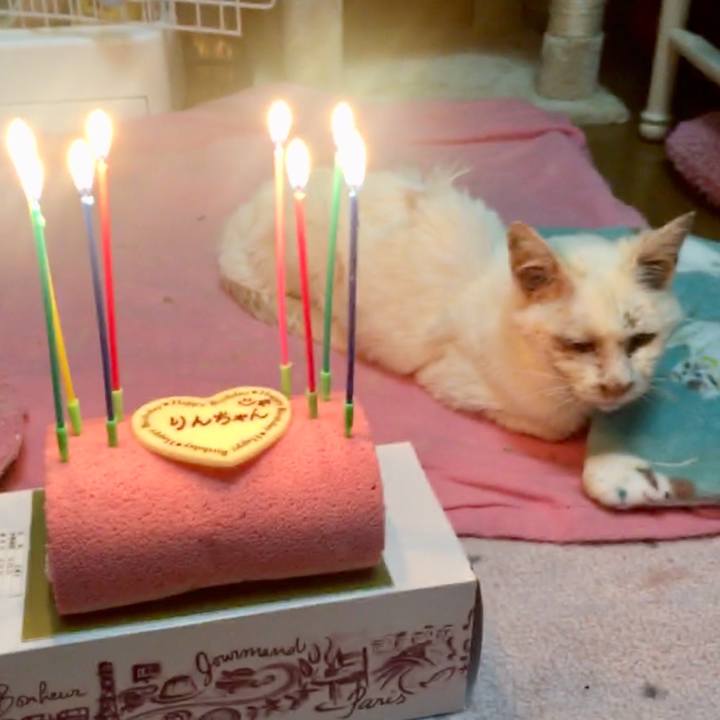 684b3b75 eb87 4c0c 9cf9 60ef0d0e0e28 1521816667071