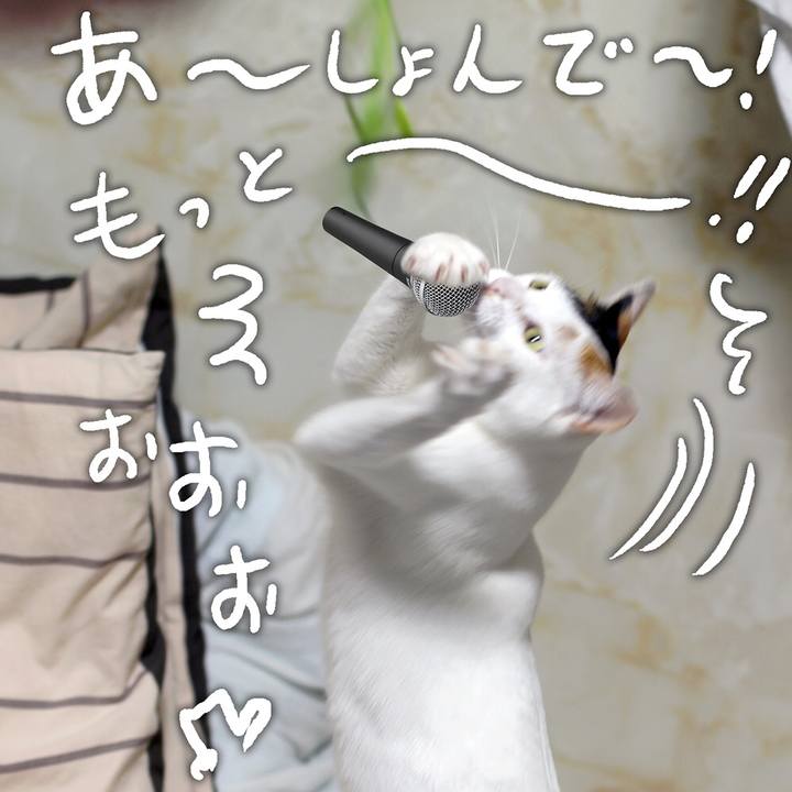 684b3bf9 8bd5 452b 821b a88f3d29722a 1598484378069