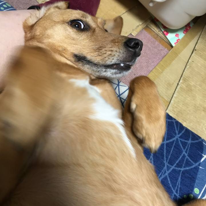 684b5555 cc64 46c7 b259 0ae550df4533 1552114832076