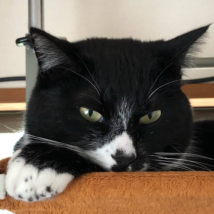 684b656e 1795 4e4e a568 a35e8861930e 1587195761924