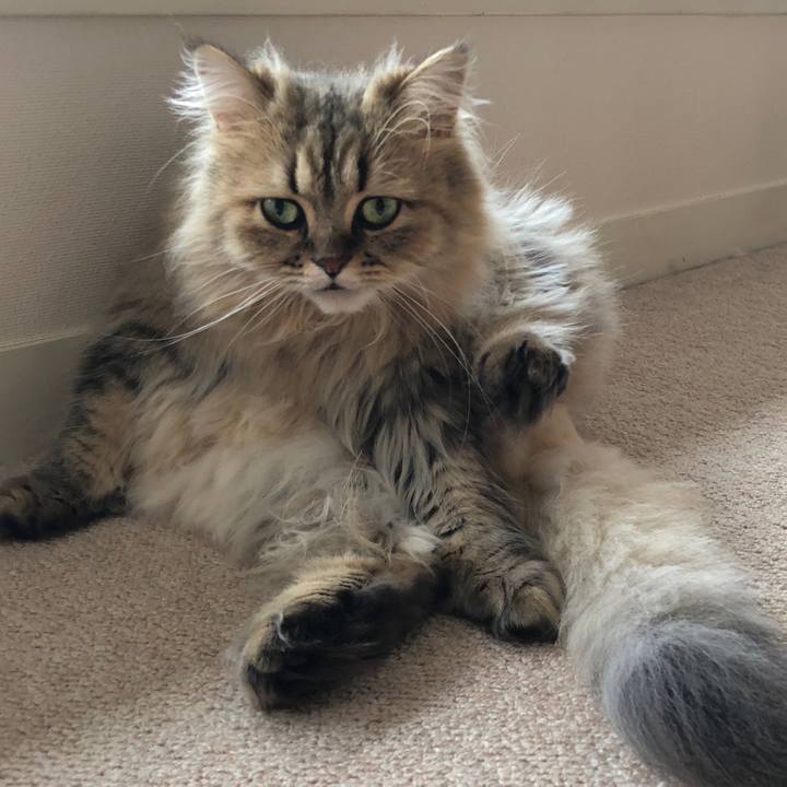 684b8426 93e8 49ef ba9d 10a0cb35701b 1535980664501