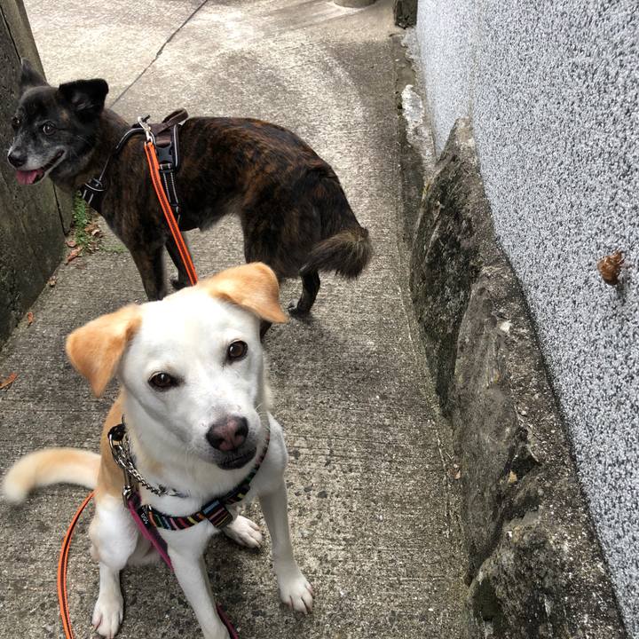 684ba235 549d 4bf3 87d4 28224329c1a6 1629555516214