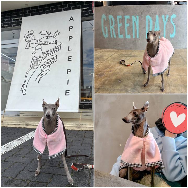 684c1af1 4e4a 4c50 9500 6951d676cc08 1771240077891