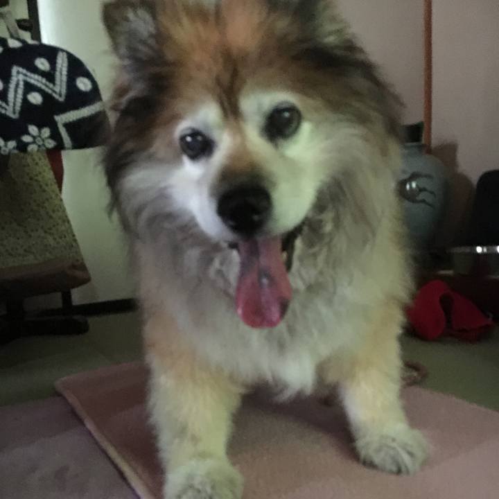 684c49d3 e4d2 45b1 a193 9c3afcdcef5d 1597700624461