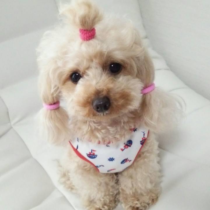 684cce9f 80f3 4b93 b9b1 f1071a009410 1529132255249