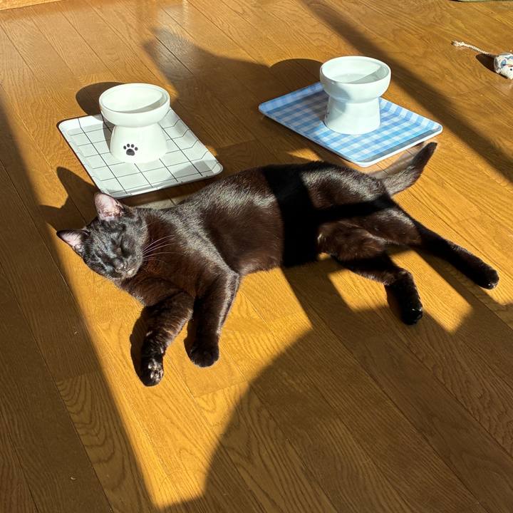 684d1ef1 99b0 487a b2de baeab6abf0b6 1743805197237