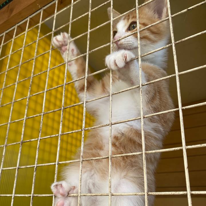 684d7178 d233 4cd5 9c0e ad1bb1868482 1667436670241