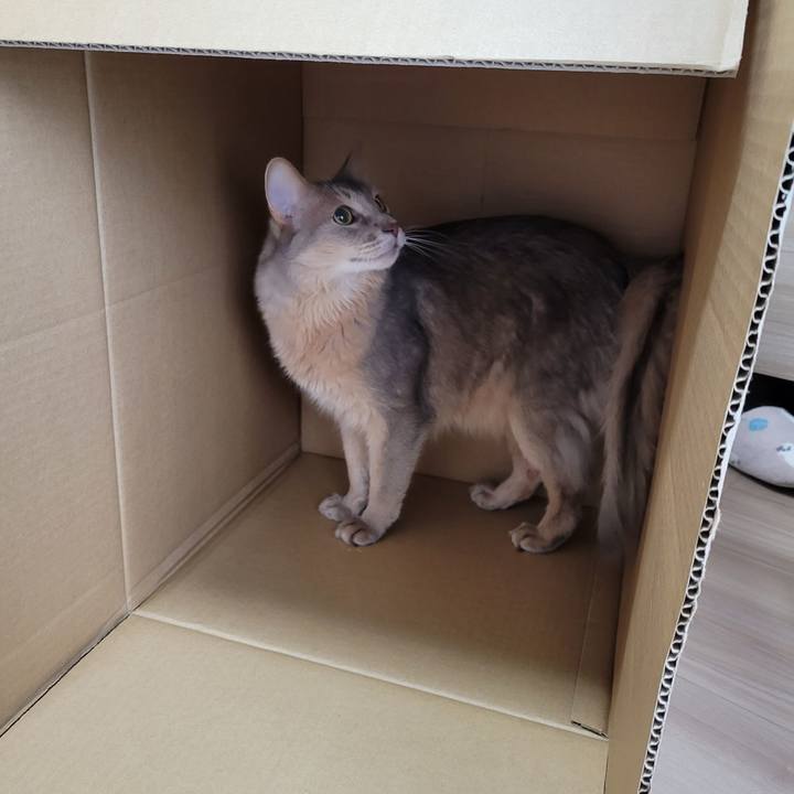 684d988f 6206 4981 a6d2 6ebaec091c77 1648987681871