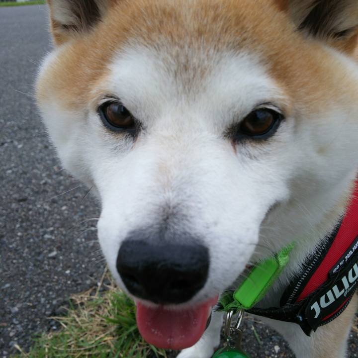 684d9f4e 4272 448c b67e e232529fb39e 1563529037392