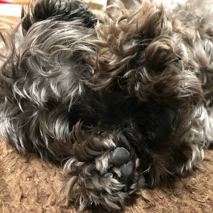 684de92e cea3 47b2 bc14 5f48887d5bec 1517054858231