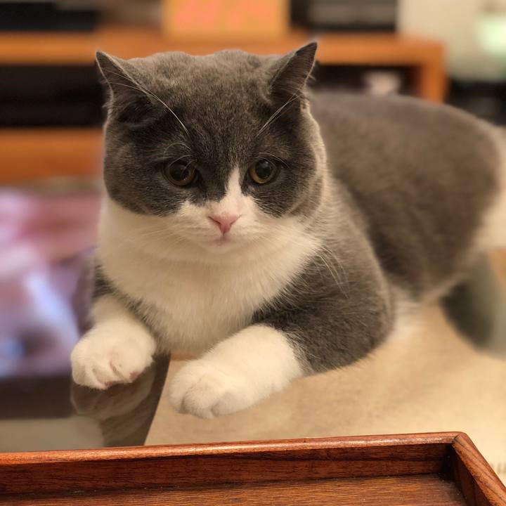 684dec19 4e4b 49ee bdb6 0faab2889590 1517923790380