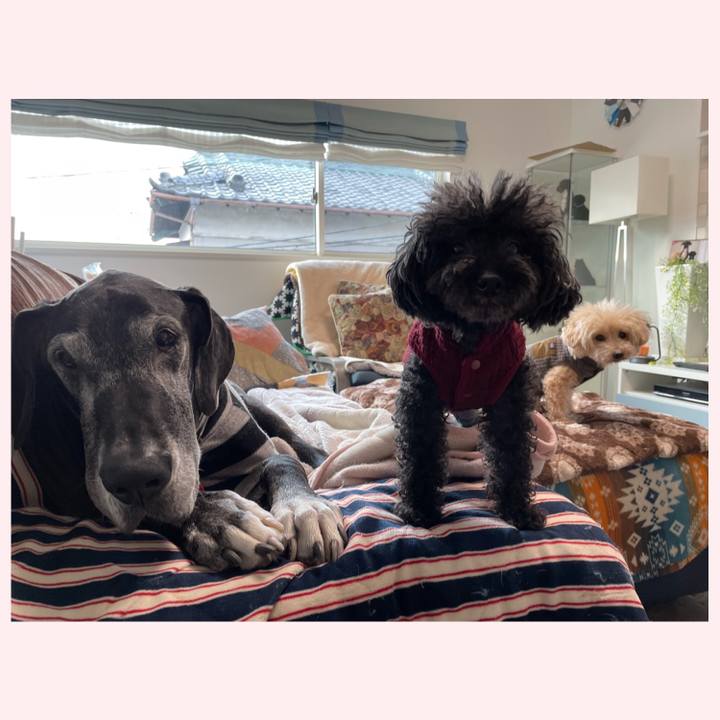 684df2c3 2833 47c3 999a a839d5f0d231 1646347209766