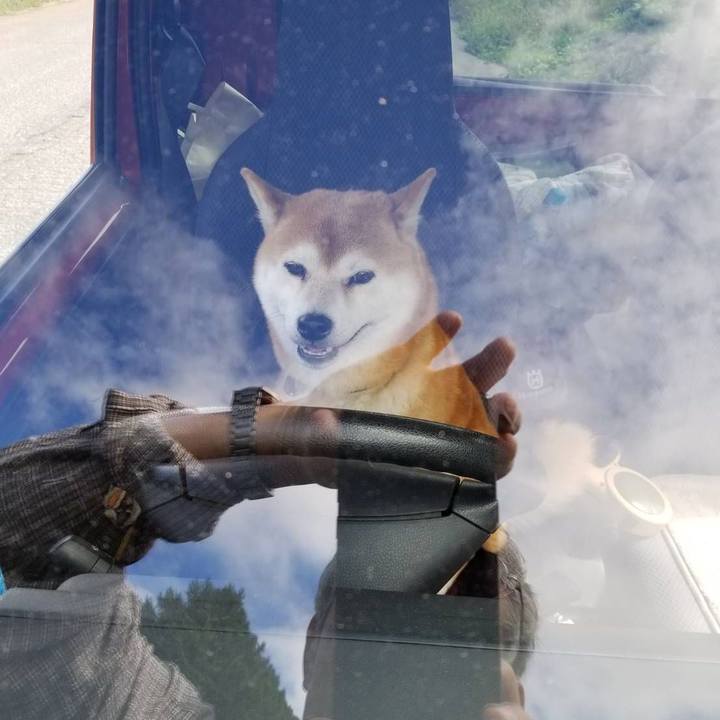 684e18e4 4c04 4dbb b9e4 6c357c3bc29d 1569288009273