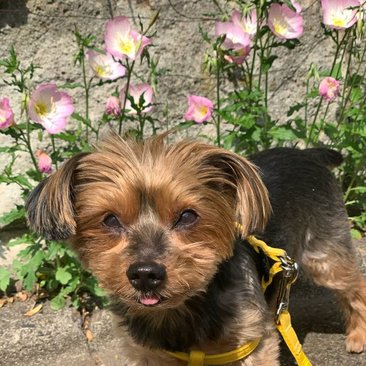 684e919f 75e7 48d3 986e b6997a020bec 1619506907371