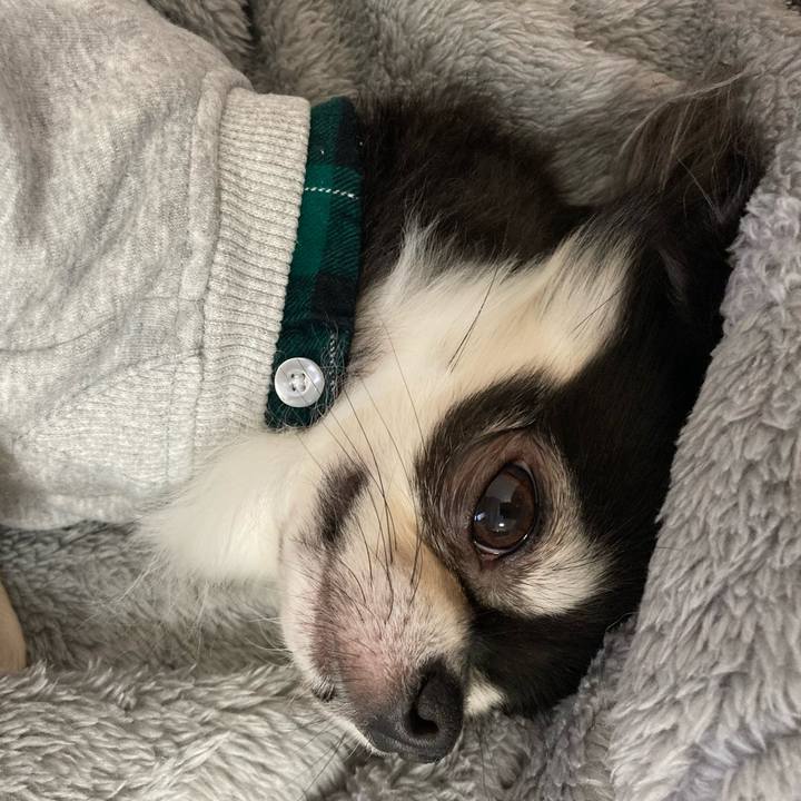 684e9fc3 ef0c 4312 a595 db5f5fd44674 1639198627942