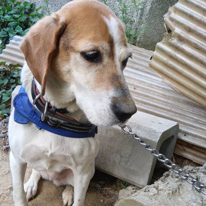 684ea87f 603d 4dba 976d a5700684e9a0 1745750182244