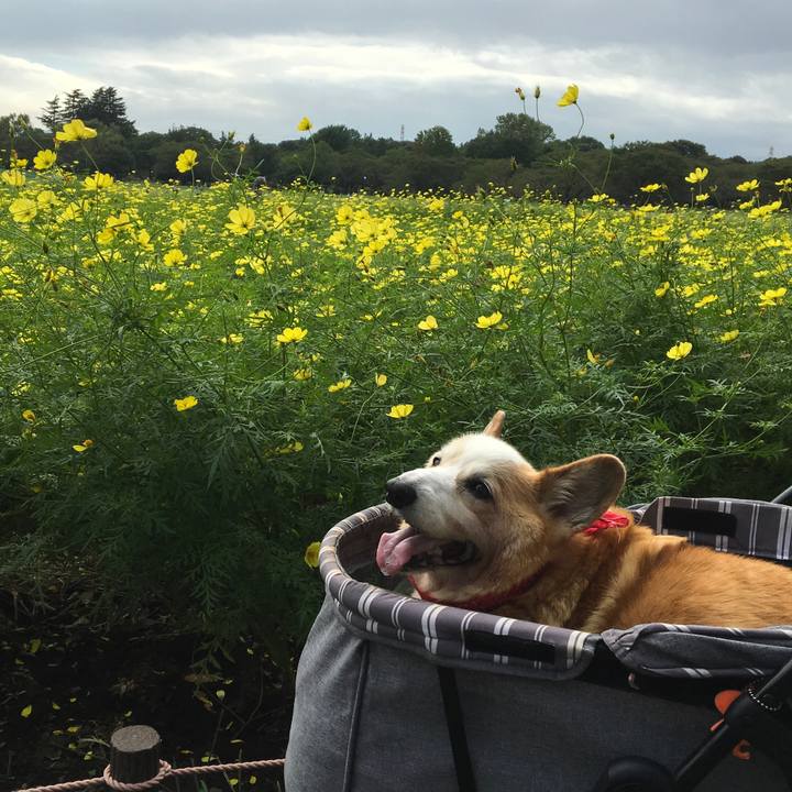 684ec11f 3ca0 4b44 bab6 50fb5362a8f3 1599784238772