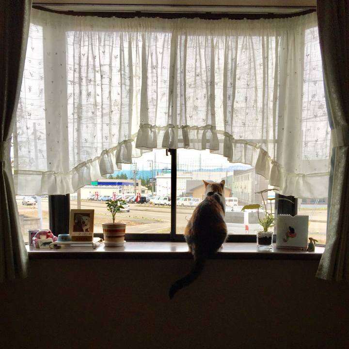 684ed45c 6a30 4c5e 9911 57dadd64b9ae 1650525386809