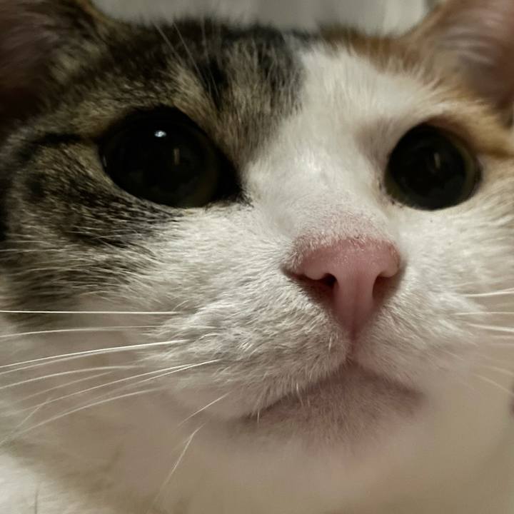 684ef626 7793 428e b503 42c47fb47600 1621688858113