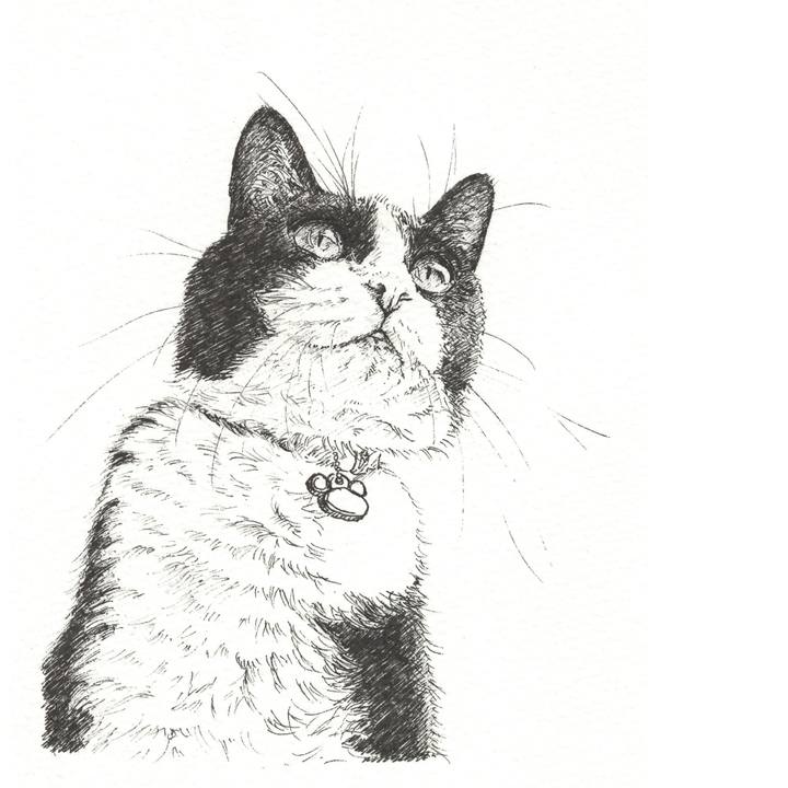 684ef6a9 3125 499c af33 d951de0dbf58 1570198639736