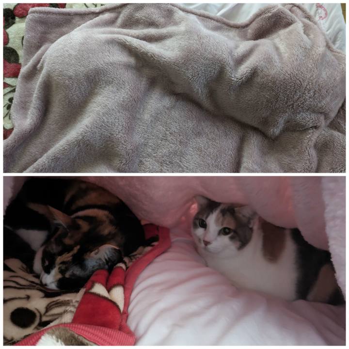 684f4f26 6641 4776 a80f 18bc953f9cb2 1698207946420