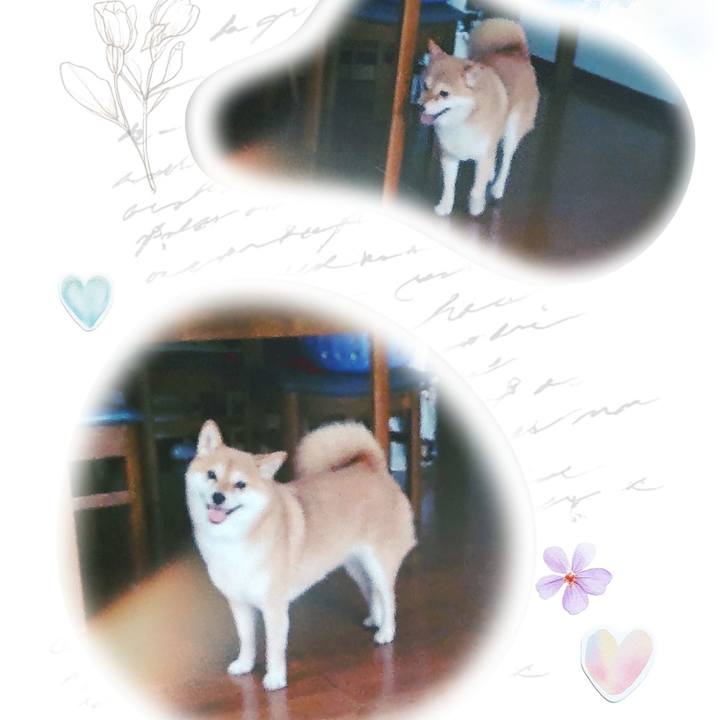 684f9b2a a000 4269 8038 cb567f46391e 1754265307777