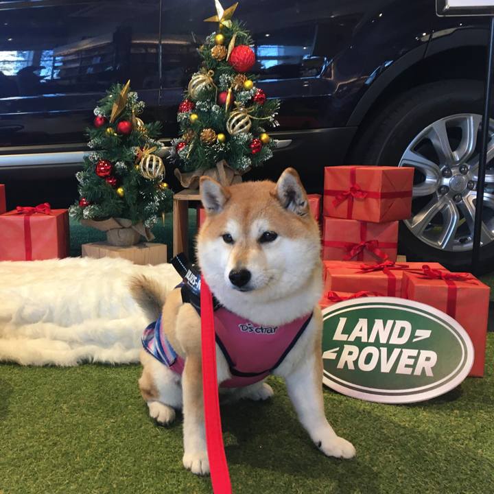 684fa1f8 5e34 43c2 96f4 628760562834 1576317261964