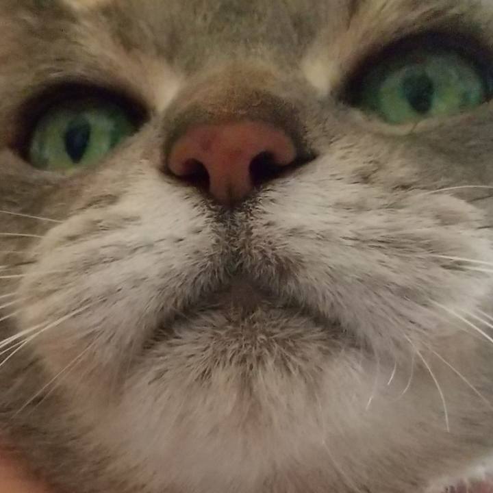 684ff87a 3e80 4543 bf71 47c06bb91a87 1652830528114