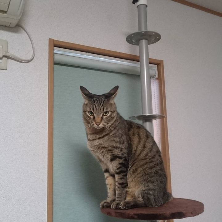 68502d77 e5a3 4216 b70f ee1626e541e6 1510698469554