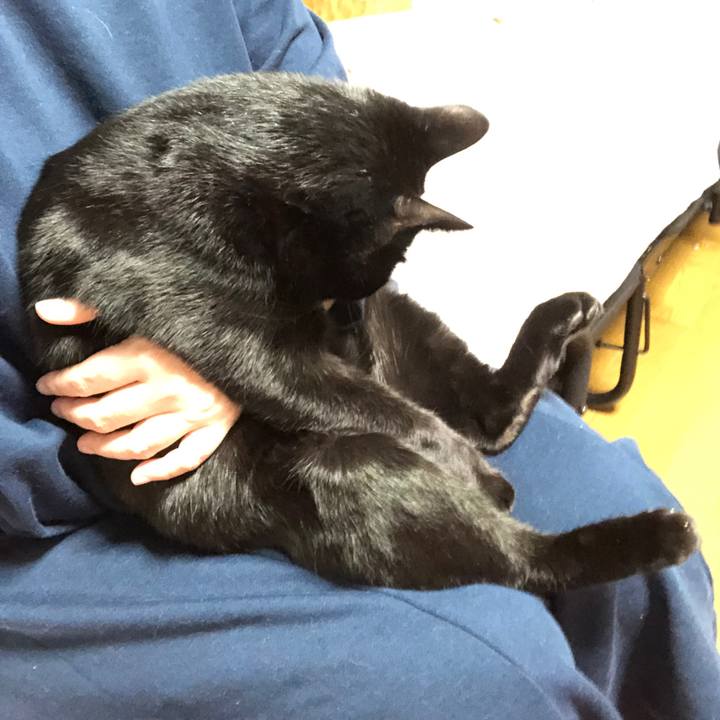 685039d9 79a2 4cc2 be68 0935083f89d1 1704614869271