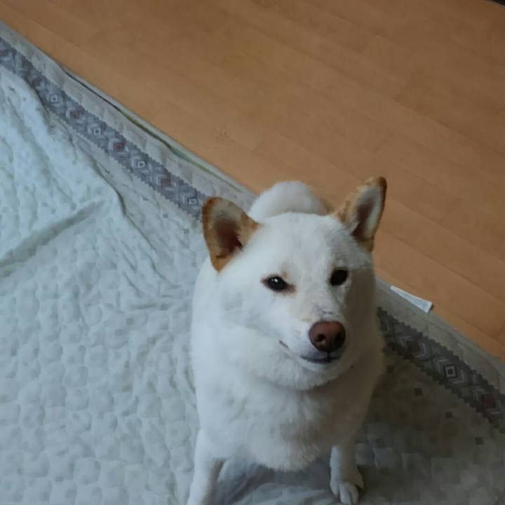 68504e66 7d5d 493b ba4e 6682dbc25f31 1530839068103