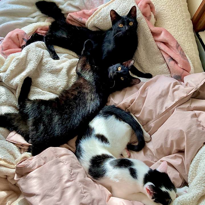 68507700 1741 4635 a3ad 12a53822915d 1636277764210