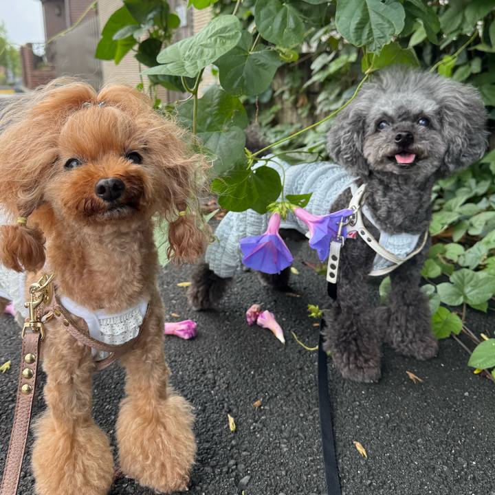 685099c4 095b 4649 85b3 30d7b1b7efd3 1752622292382