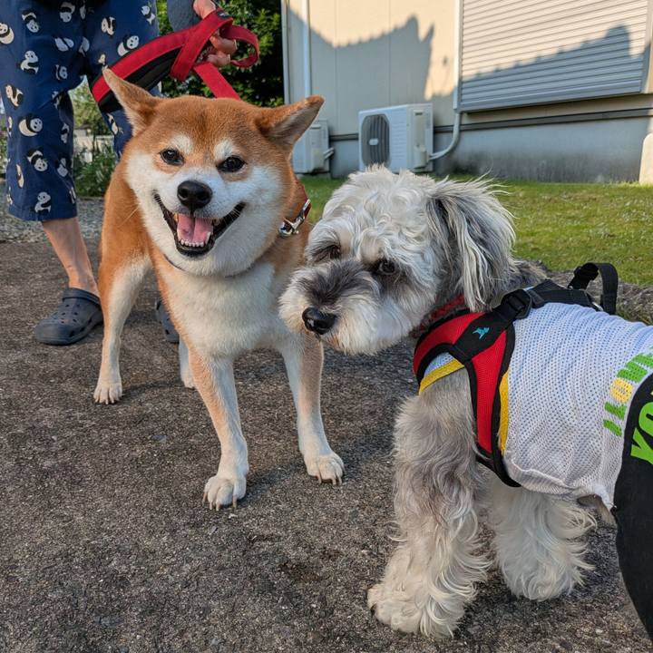 6850c5d1 5091 48d0 9412 c79c0d04eca0 1754100793340