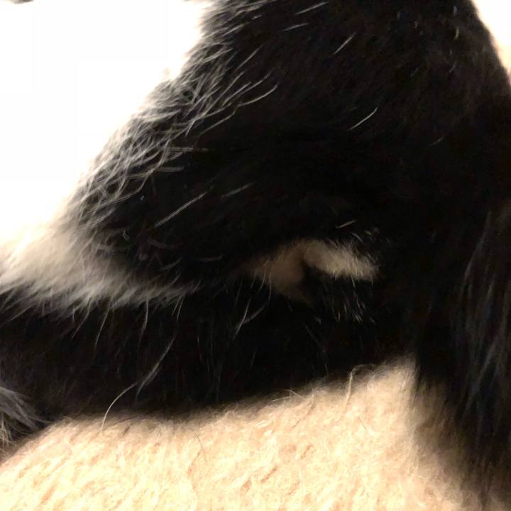 6850ed0b 9ad7 4a02 ad79 0be34b5a97f9 1546608842483