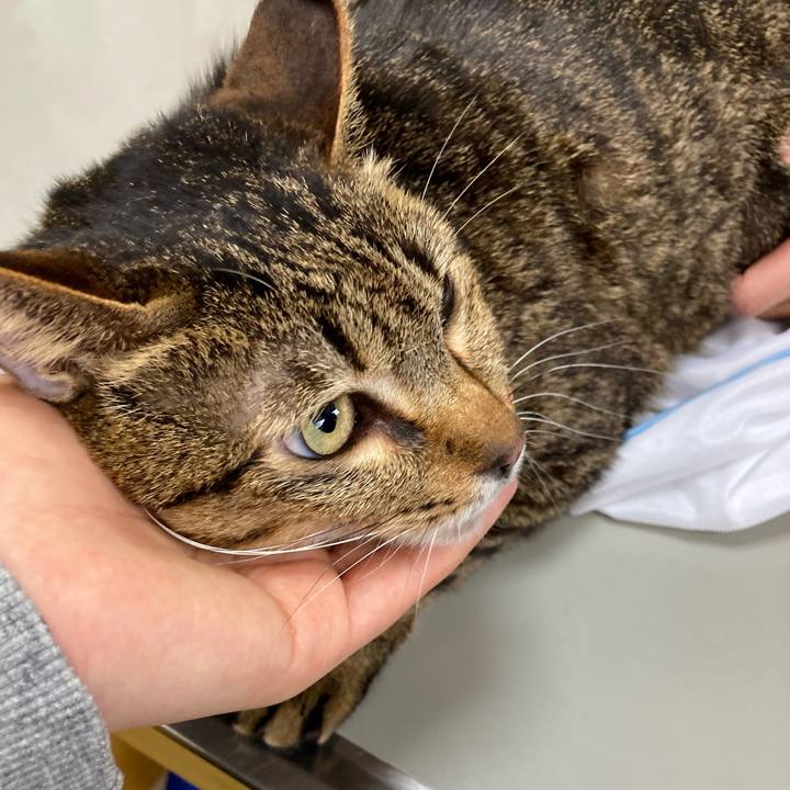 6850f4e7 a407 4ded 9111 aff028a3b277 1614307433874